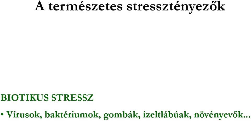 STRESSZ Vírusok,