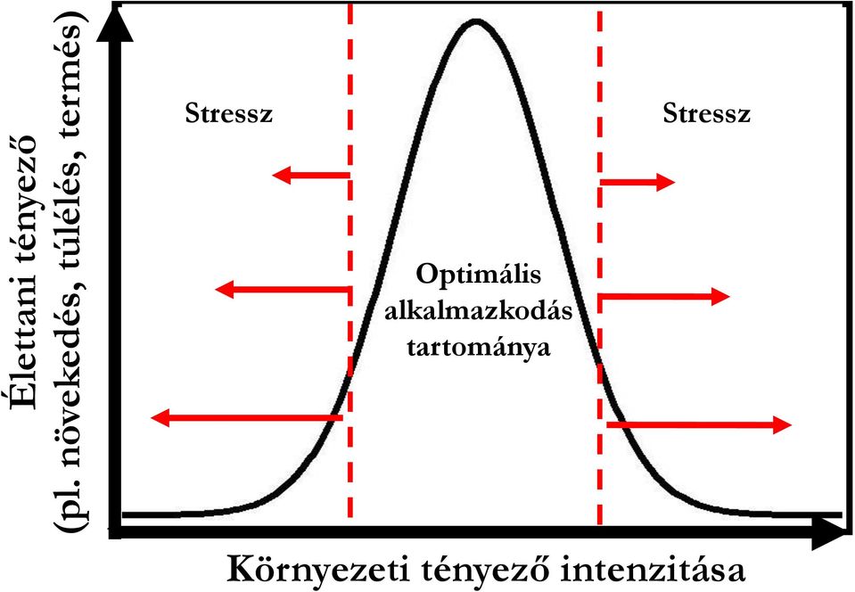 Stressz Stressz Optimális