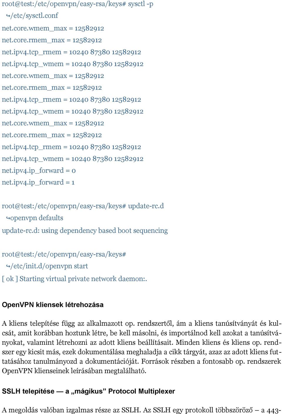 ipv4.ip_forward = 1 root@test:/etc/openvpn/easy-rsa/keys# update-rc.d openvpn defaults update-rc.d: using dependency based boot sequencing root@test:/etc/openvpn/easy-rsa/keys# /etc/init.