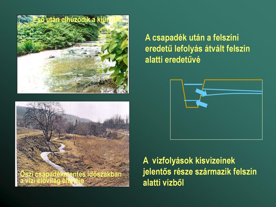 csapadékmentes időszakban a vízi élővilág éltetője A