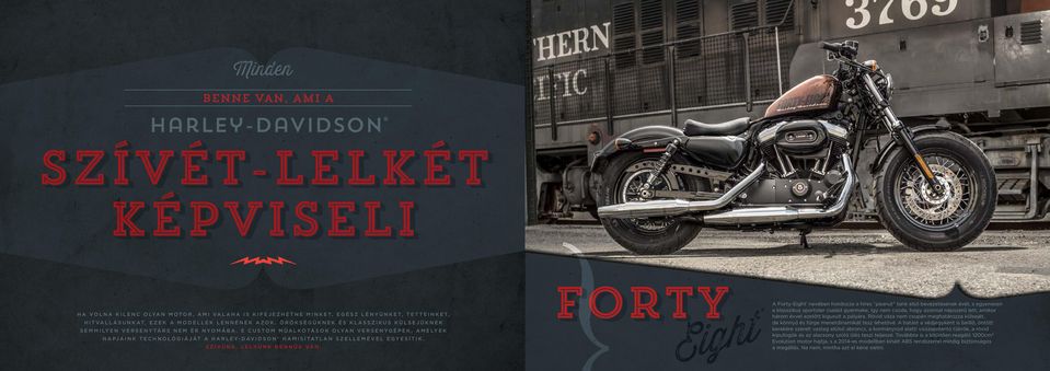 E custom műalkotások olyan versenygépek, amelyek napjaink technológiáját a Harley-Davidson hamisítatlan szellemével egyesítik. Szívünk, lelkünk bennük van.