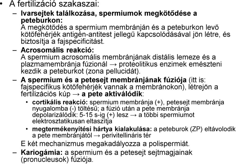 Acrosomális reakció: A spermium acrosomális membránjának distális lemeze és a plazmamembránja fúzionál proteolitikus enzimek emészteni kezdik a peteburkot (zona pellucidát).