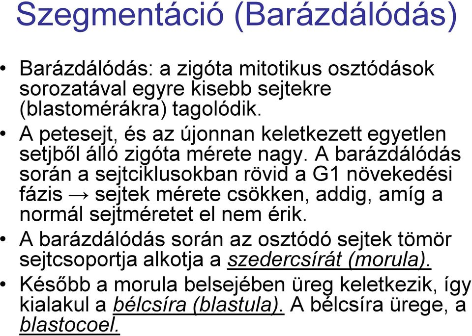 A barázdálódás során a sejtciklusokban rövid a G1 növekedési fázis sejtek mérete csökken, addig, amíg a normál sejtméretet el nem érik.