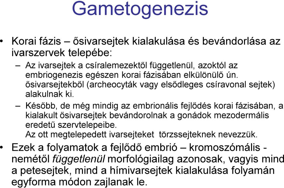 Később, de még mindig az embrionális fejlődés korai fázisában, a kialakult ősivarsejtek bevándorolnak a gonádok mezodermális eredetű szervtelepeibe.