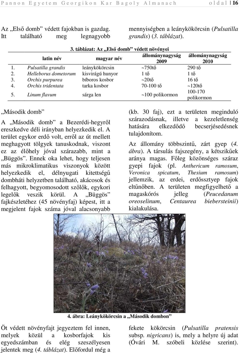 táblázat: Az Elsı domb védett növényei latin név magyar név állománynagyság állománynagyság 2009 2010 1. Pulsatilla grandis leánykökörcsin ~750tı 290 tı 2.