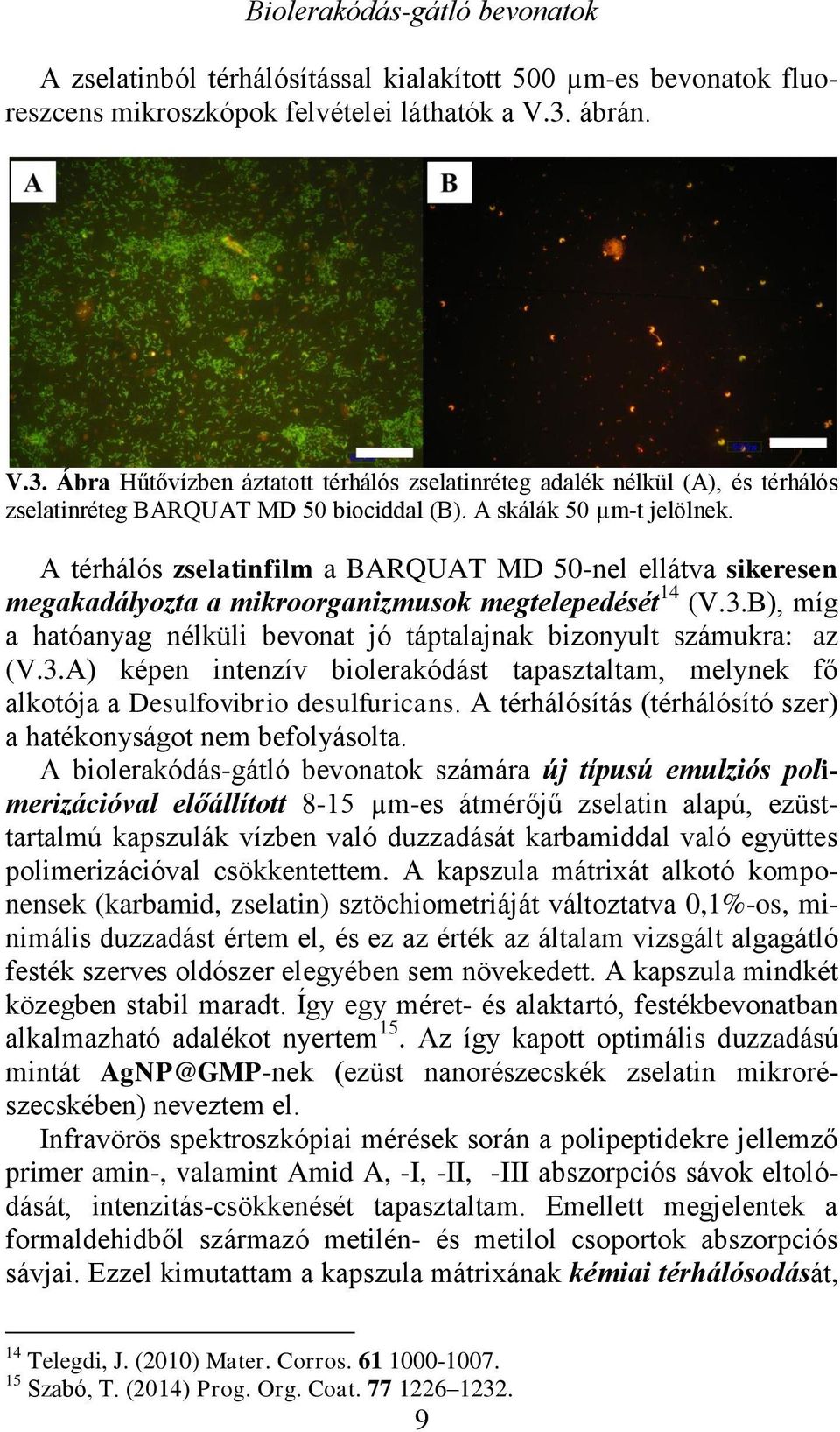 A térhálós zselatinfilm a BARQUAT MD 50-nel ellátva sikeresen megakadályozta a mikroorganizmusok megtelepedését 14 (V.3.B), míg a hatóanyag nélküli bevonat jó táptalajnak bizonyult számukra: 14 az (V.