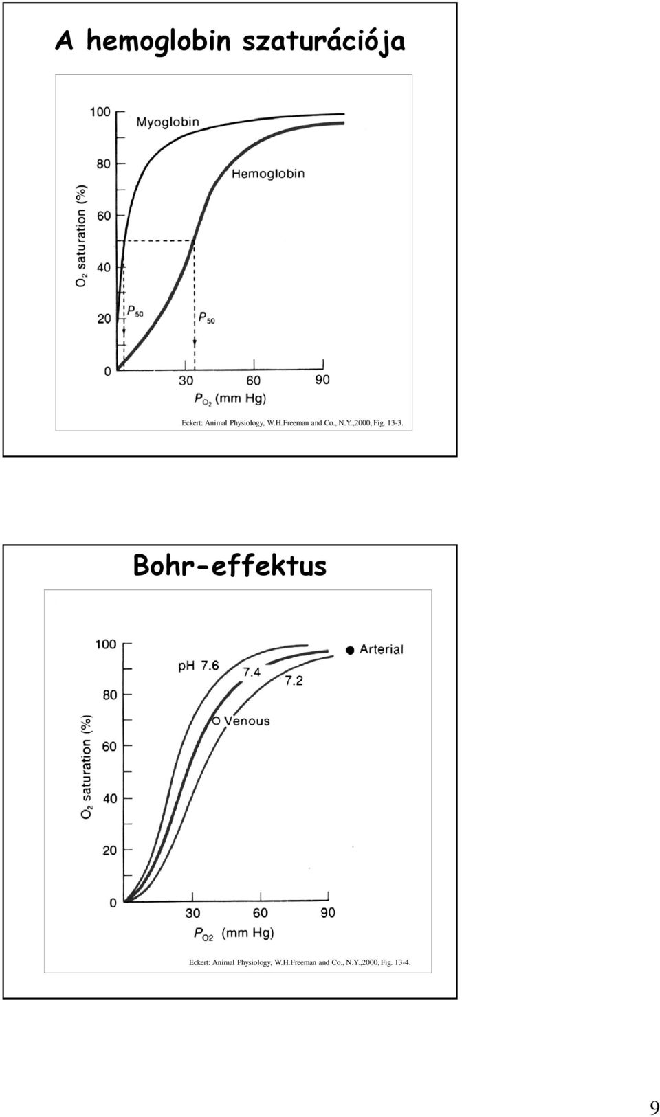 ,2000, Fig. 13-3.