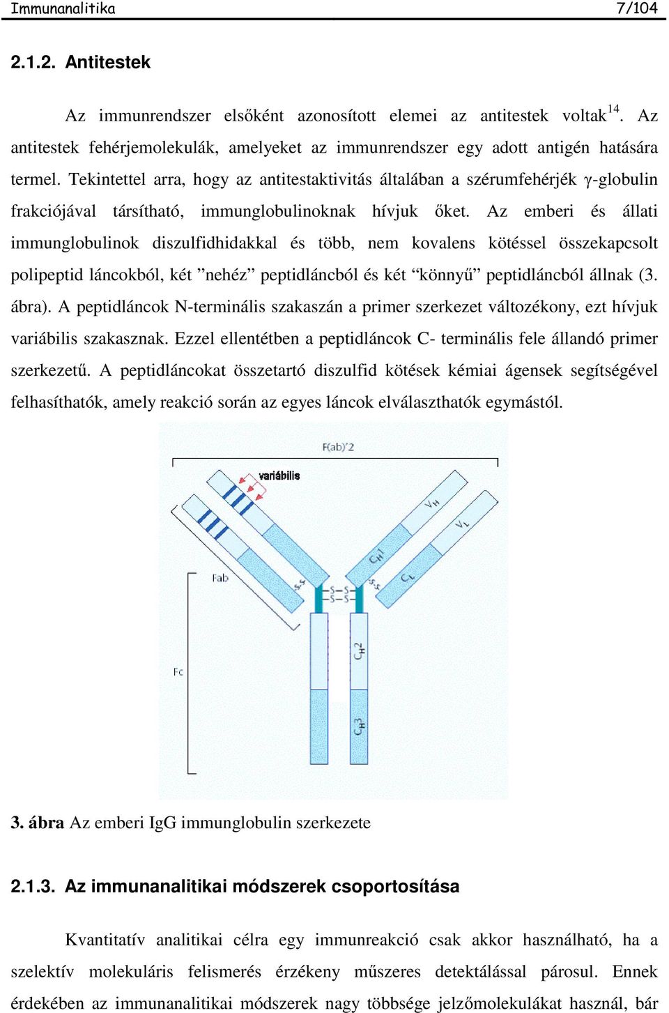 Az emberi és állati immunglobulinok diszulfidhidakkal és több, nem kovalens kötéssel összekapcsolt polipeptid láncokból, két nehéz peptidláncból és két könny peptidláncból állnak (3. ábra).