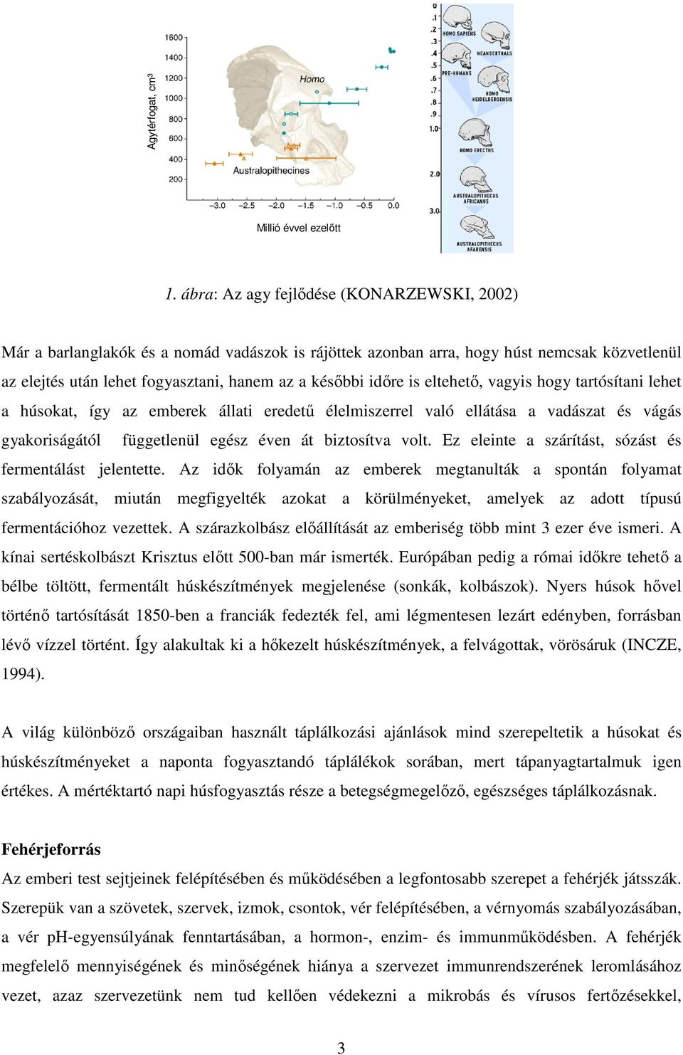 eltehetı, vagyis hogy tartósítani lehet a húsokat, így az emberek állati eredető élelmiszerrel való ellátása a vadászat és vágás gyakoriságától függetlenül egész éven át biztosítva volt.