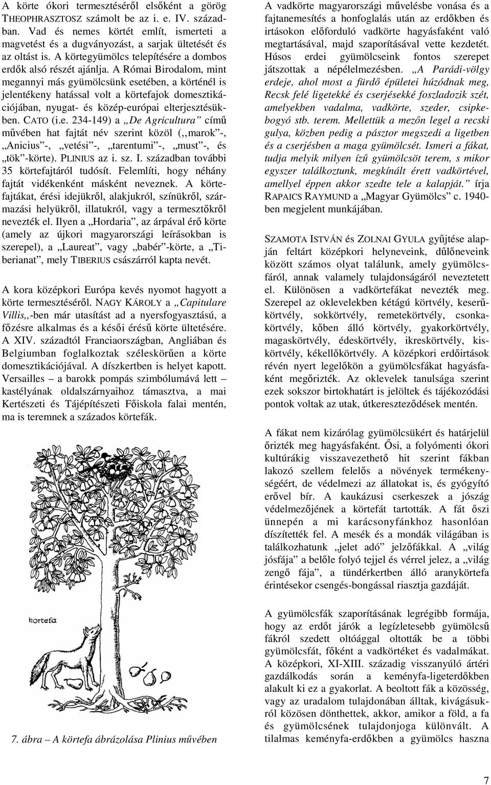 A Római Birodalom, mint megannyi más gyümölcsünk esetében, a körténél is jelentékeny hatással volt a körtefajok domesztikációjában, nyugat- és közép-európai elterjesztésükben. CATO (i.e. 234-149) a De Agricultura címő mővében hat fajtát név szerint közöl (, marok -, Anicius -, vetési -, tarentumi -, must -, és tök -körte).