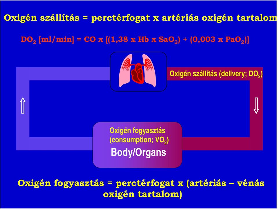 szállítás (delivery; DO 2 ) Oxigén fogyasztás (consumption; VO 2 )