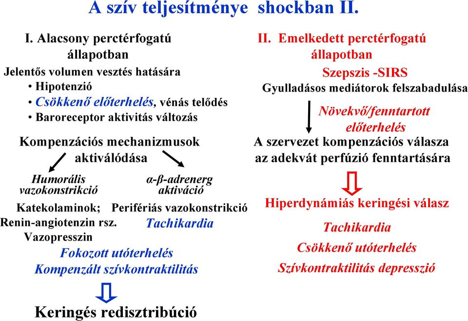 aktiválódása Humorális vazokonstrikció α-β-adrenerg aktiváció Katekolaminok; Perifériás vazokonstrikció Renin-angiotenzin rsz.