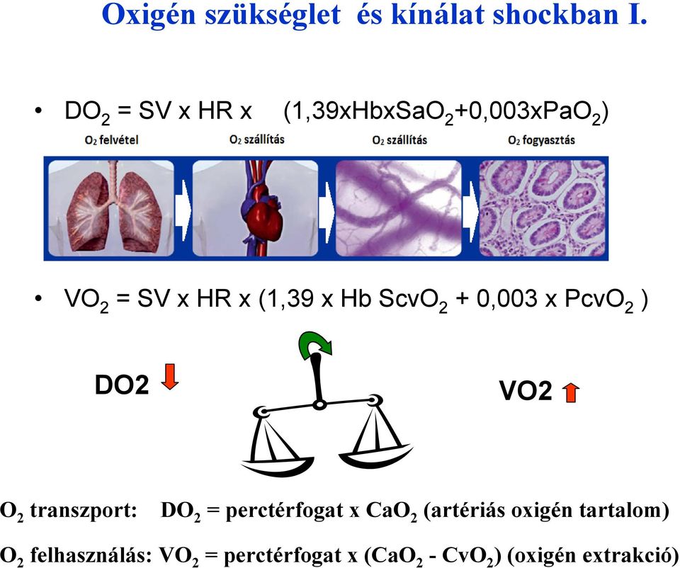 Hb ScvO 2 + 0,003 x PcvO 2 ) DO2 VO2 O 2 transzport: DO 2 = perctérfogat