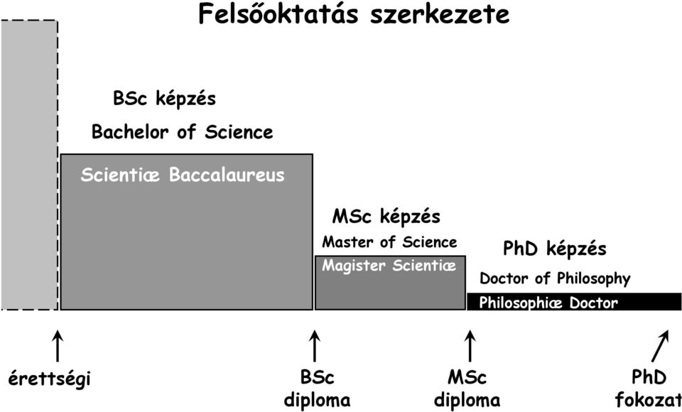 Master of Science Magister Scientiæ képzés