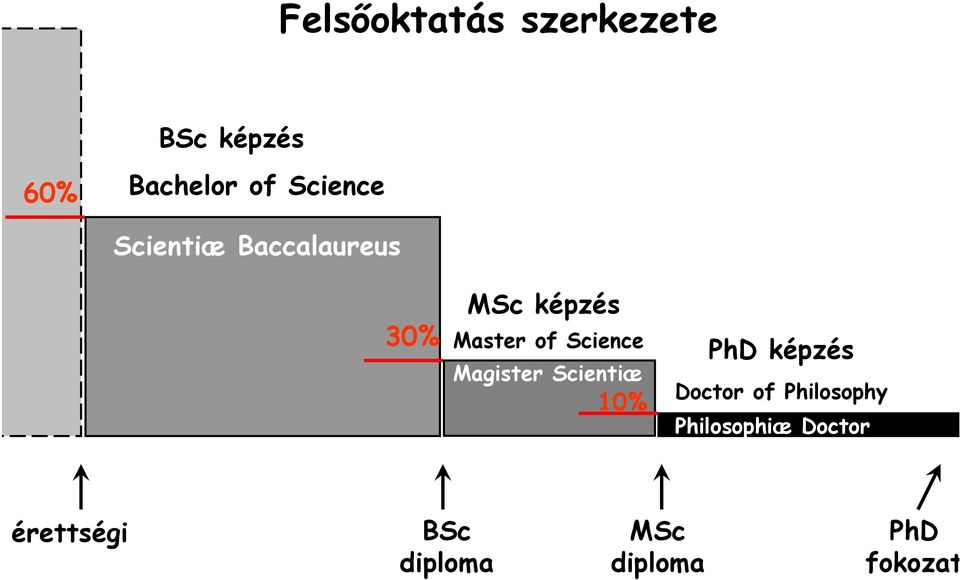 Master of Science Magister Scientiæ képzés