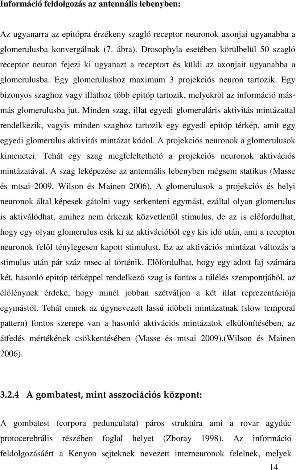Egy bizonyos szaghoz vagy illathoz több epitóp tartozik, melyekről az információ másmás glomerulusba jut.