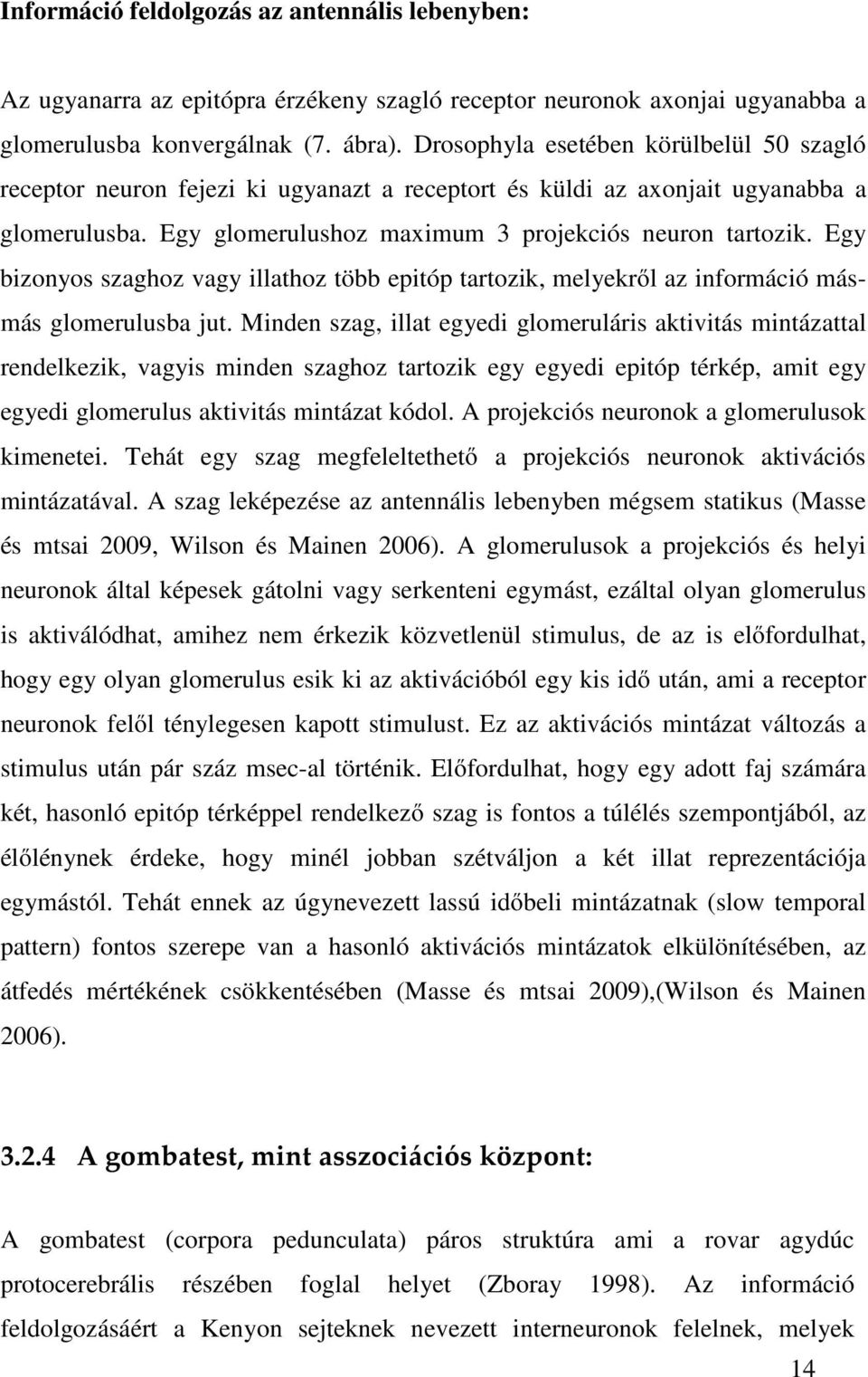 Egy bizonyos szaghoz vagy illathoz több epitóp tartozik, melyekről az információ másmás glomerulusba jut.