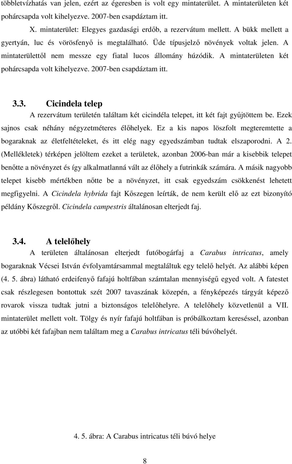 A mintaterülettıl nem messze egy fiatal lucos állomány húzódik. A mintaterületen két pohárcsapda volt kihelyezve. 2007-ben csapdáztam itt. 3.