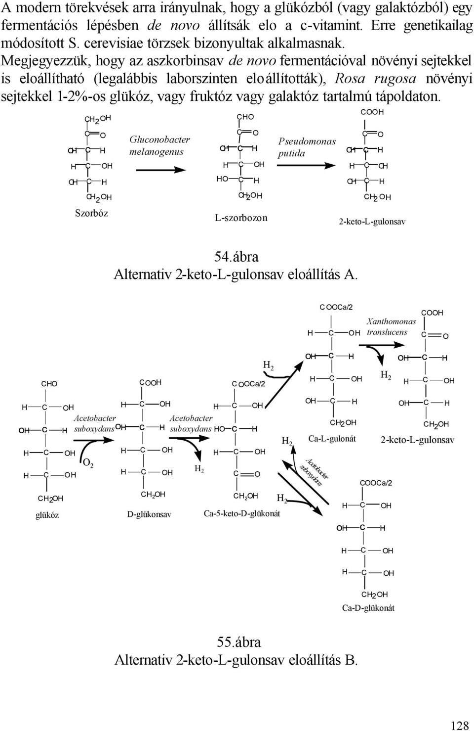 Megjegyezzük, hogy az aszkorbinsav de novo fermentációval növényi sejtekkel is eloállítható (legalábbis laborszinten eloállították), Rosa rugosa növényi sejtekkel 1-2%-os glükóz, vagy fruktóz vagy