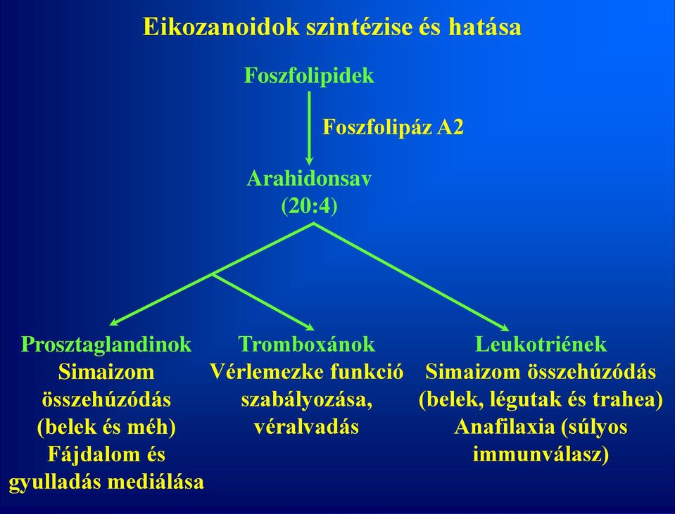 mediálása Tromboxánok Vérlemezke funkció szabályozása, véralvadás Leukotriének