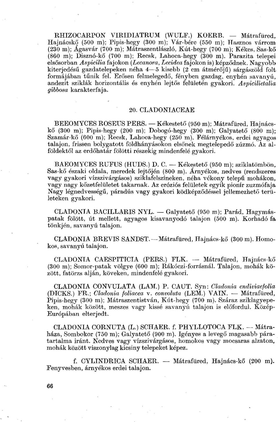 Lahoca-hegy (300 m). Parazita telepei elsősorban AspiciUa fajokon (Lecanora, Lecidea fajokon is) képződnek.