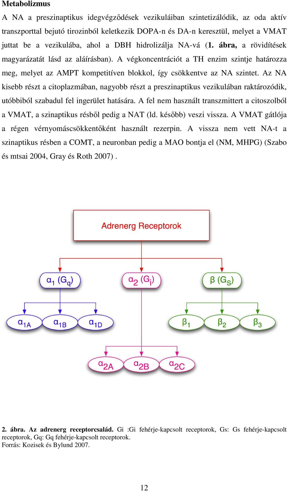 A végkoncentrációt a TH enzim szintje határozza meg, melyet az AMPT kompetitíven blokkol, így csökkentve az NA szintet.