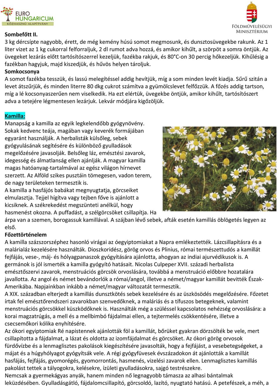 Az üvegeket lezárás előtt tartósítószerrel kezeljük, fazékba rakjuk, és 80 C-on 30 percig hőkezeljük. Kihűlésig a fazékban hagyjuk, majd kiszedjük, és hűvös helyen tároljuk.