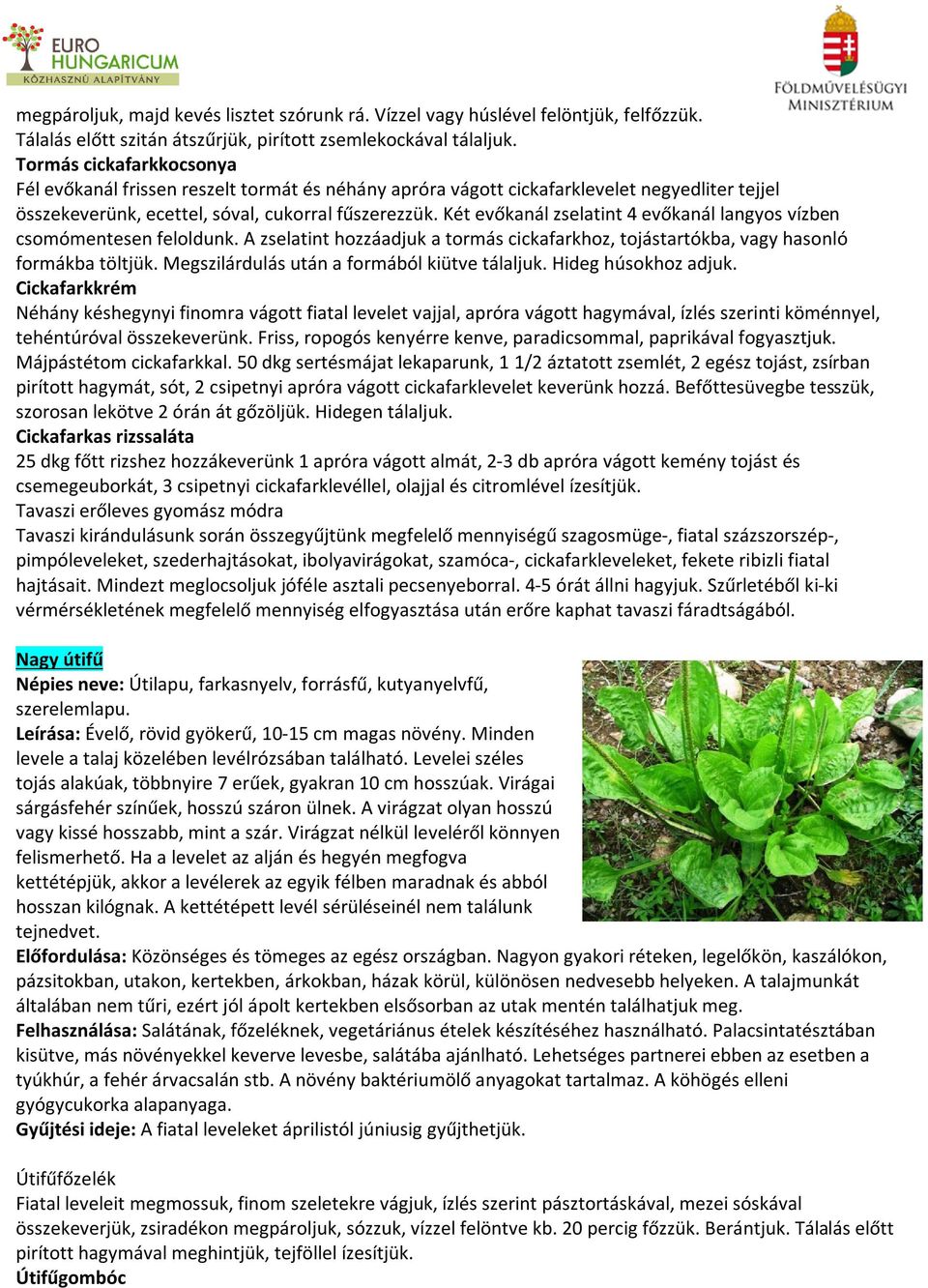 Két evőkanál zselatint 4 evőkanál langyos vízben csomómentesen feloldunk. A zselatint hozzáadjuk a tormás cickafarkhoz, tojástartókba, vagy hasonló formákba töltjük.