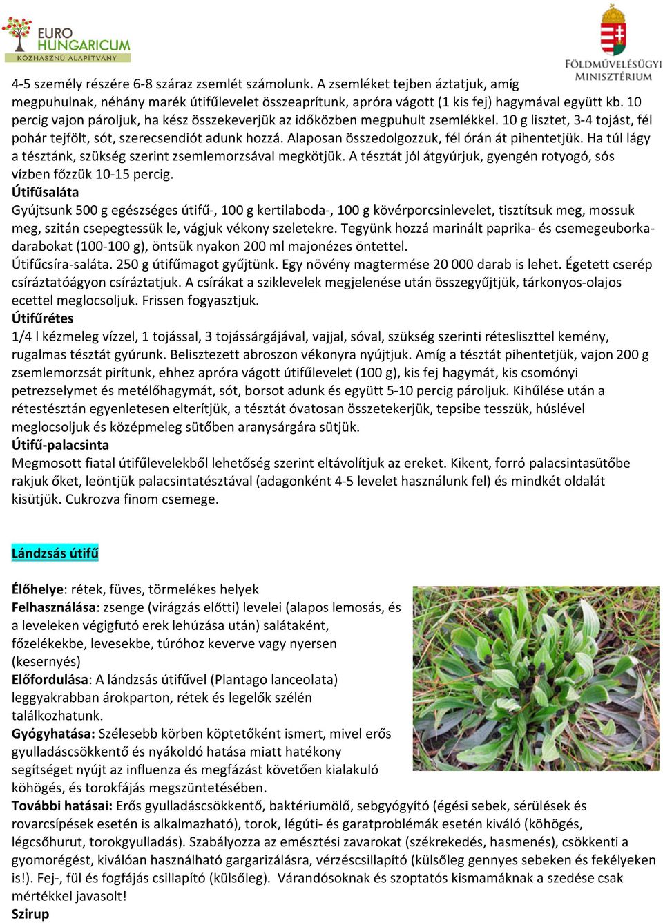 Alaposan összedolgozzuk, fél órán át pihentetjük. Ha túl lágy a tésztánk, szükség szerint zsemlemorzsával megkötjük. A tésztát jól átgyúrjuk, gyengén rotyogó, sós vízben főzzük 10-15 percig.