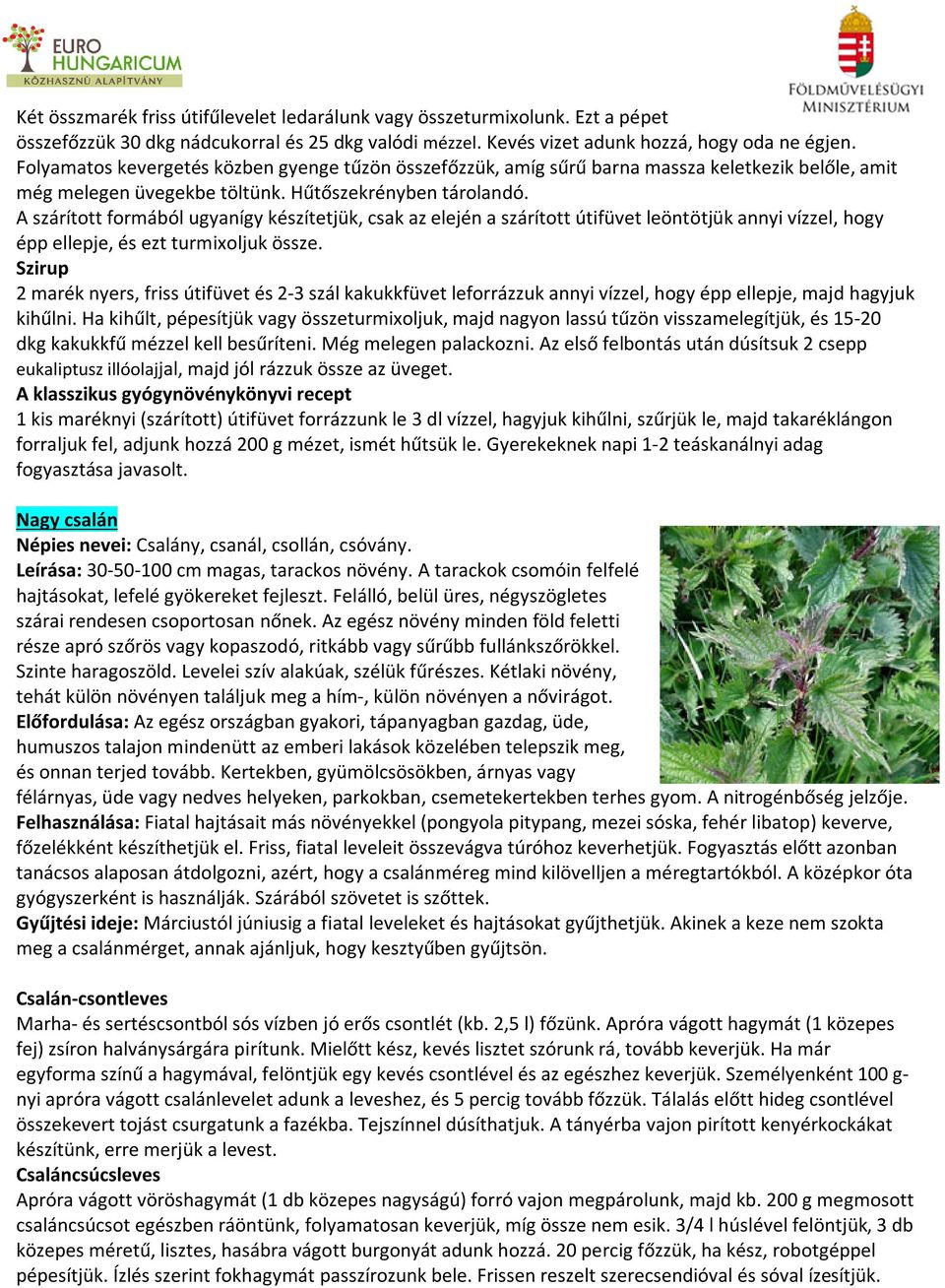 A szárított formából ugyanígy készítetjük, csak az elején a szárított útifüvet leöntötjük annyi vízzel, hogy épp ellepje, és ezt turmixoljuk össze.