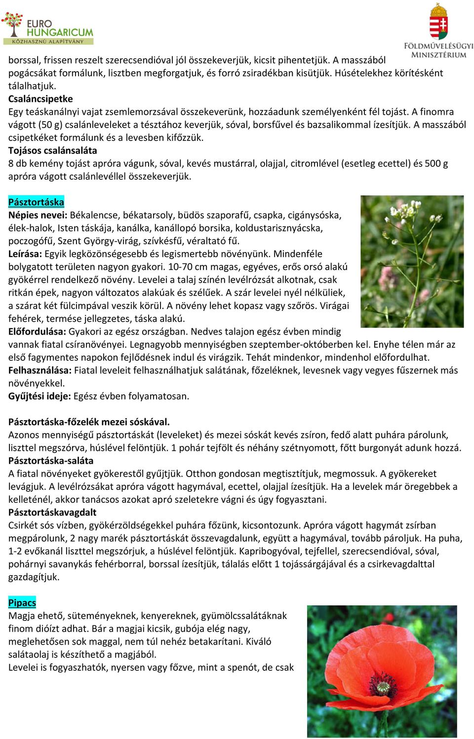 A finomra vágott (50 g) csalánleveleket a tésztához keverjük, sóval, borsfűvel és bazsalikommal ízesítjük. A masszából csipetkéket formálunk és a levesben kifőzzük.