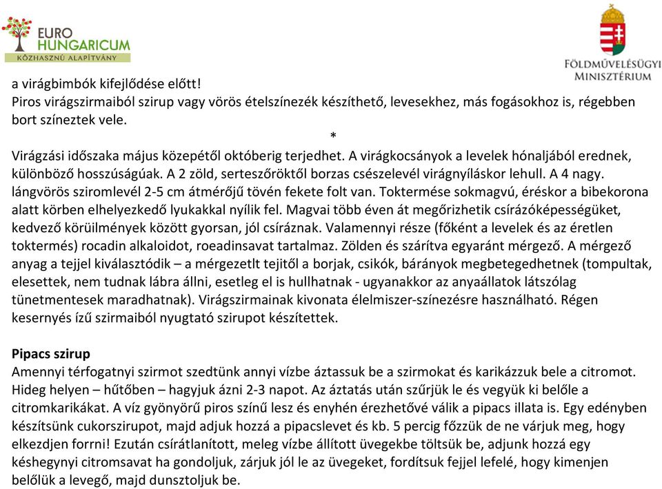 A 4 nagy. lángvörös sziromlevél 2-5 cm átmérőjű tövén fekete folt van. Toktermése sokmagvú, éréskor a bibekorona alatt körben elhelyezkedő lyukakkal nyílik fel.