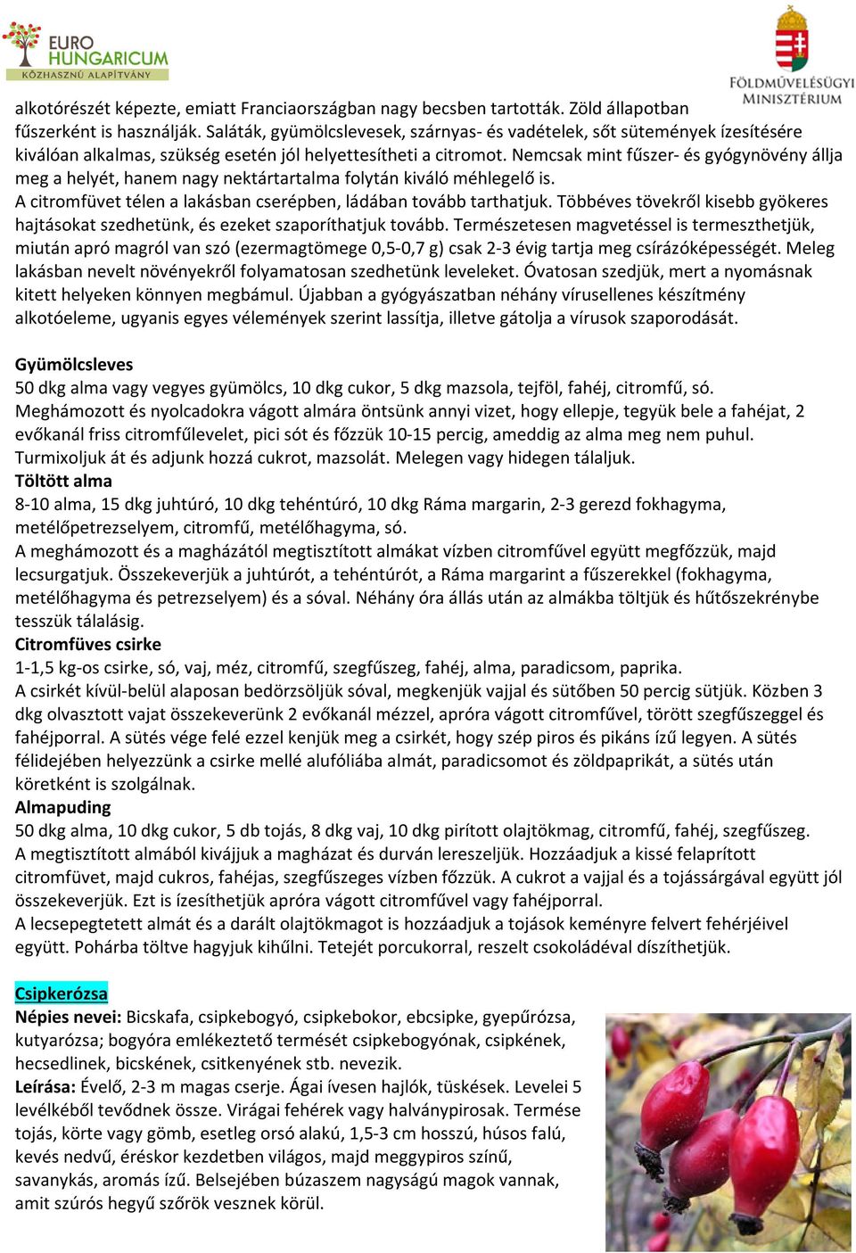 Nemcsak mint fűszer- és gyógynövény állja meg a helyét, hanem nagy nektártartalma folytán kiváló méhlegelő is. A citromfüvet télen a lakásban cserépben, ládában tovább tarthatjuk.