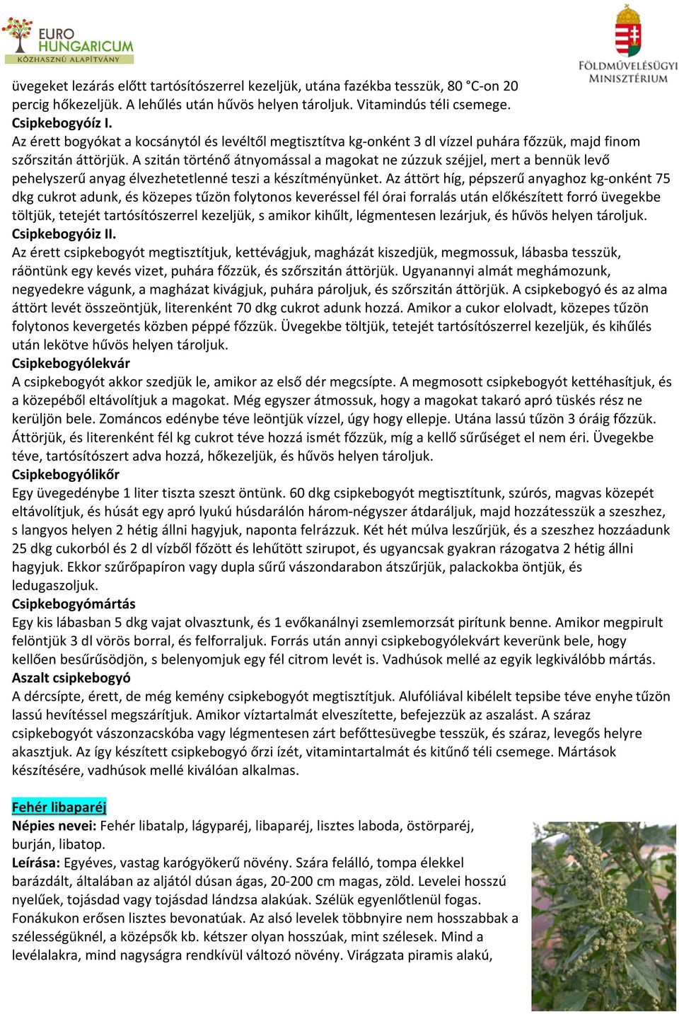 A szitán történő átnyomással a magokat ne zúzzuk széjjel, mert a bennük levő pehelyszerű anyag élvezhetetlenné teszi a készítményünket.