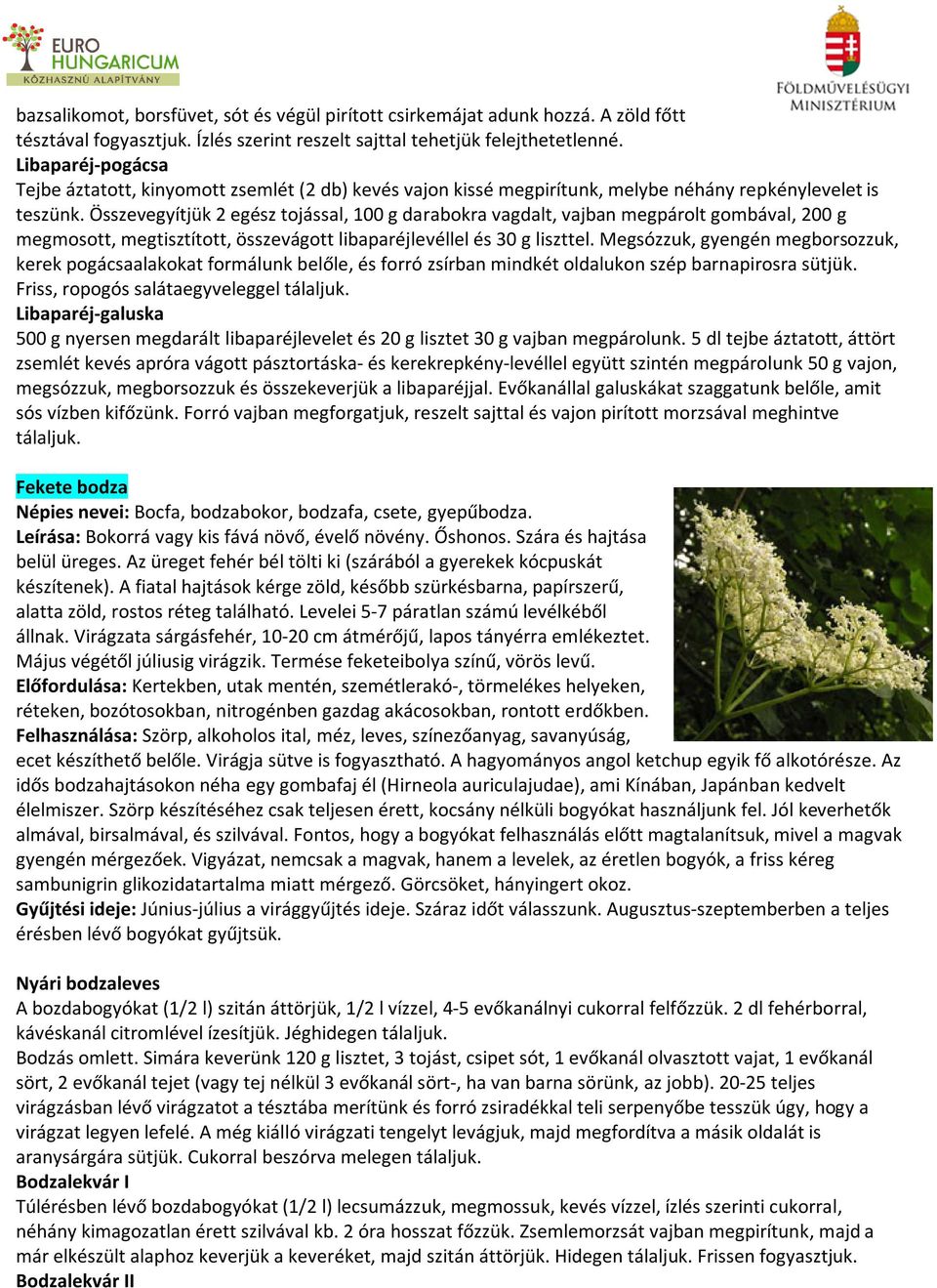 Összevegyítjük 2 egész tojással, 100 g darabokra vagdalt, vajban megpárolt gombával, 200 g megmosott, megtisztított, összevágott libaparéjlevéllel és 30 g liszttel.
