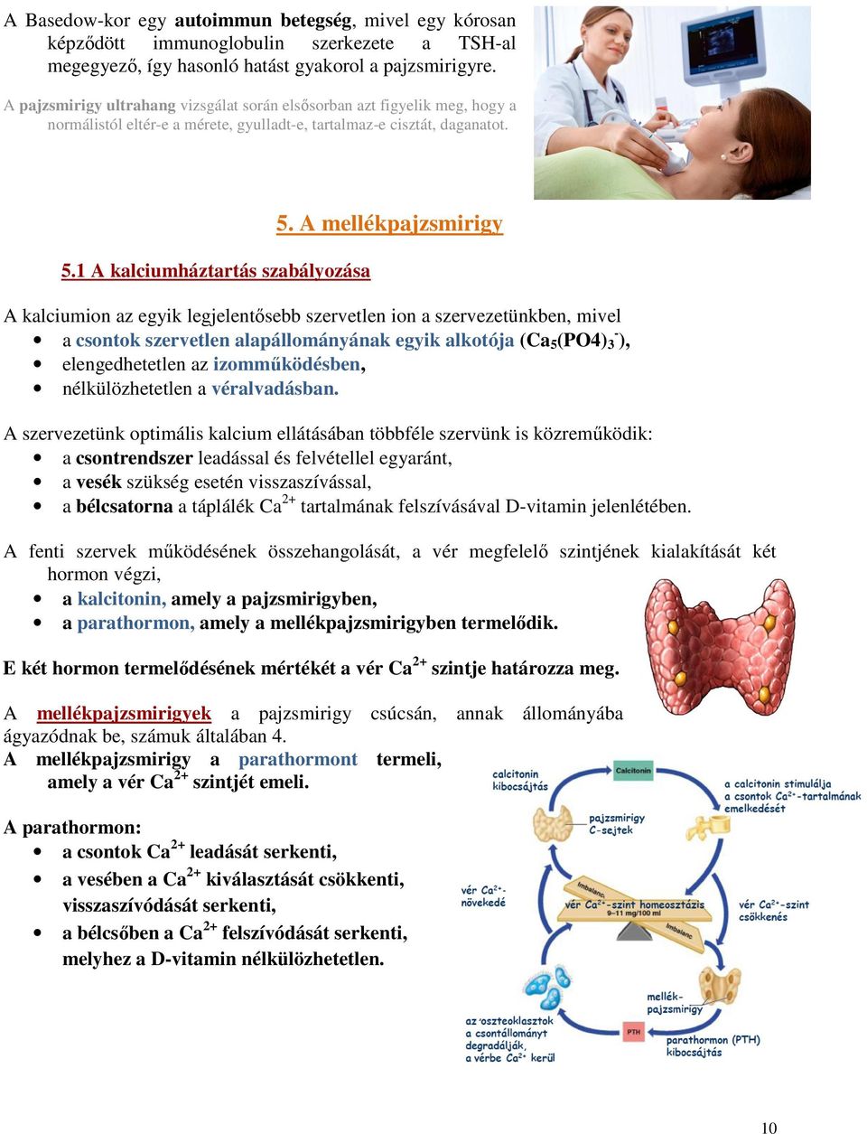 A mellékpajzsmirigy A kalciumion az egyik legjelentősebb szervetlen ion a szervezetünkben, mivel a csontok szervetlen alapállományának egyik alkotója (Ca 5 (PO4) 3 - ), elengedhetetlen az