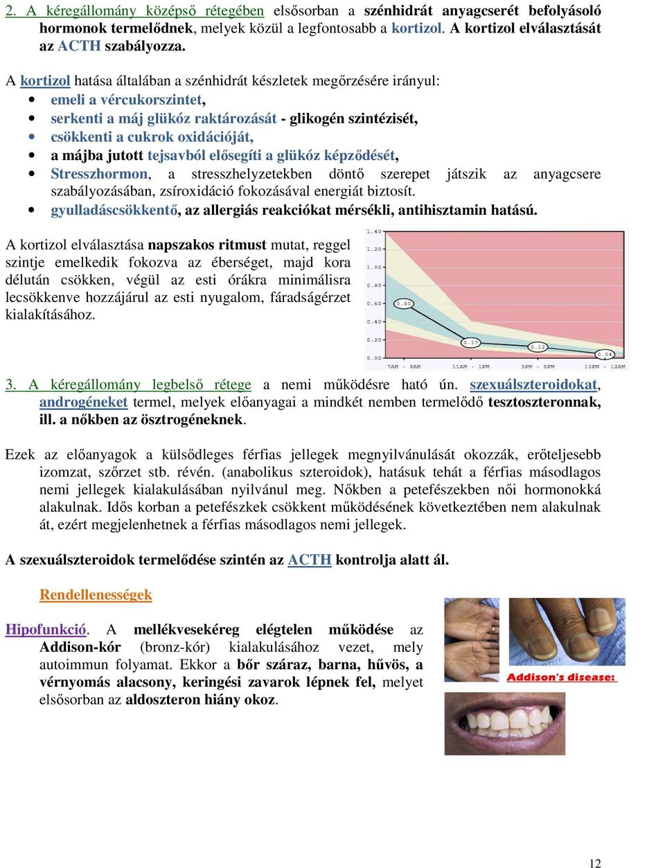 jutott tejsavból elősegíti a glükóz képződését, Stresszhormon, a stresszhelyzetekben döntő szerepet játszik az anyagcsere szabályozásában, zsíroxidáció fokozásával energiát biztosít.