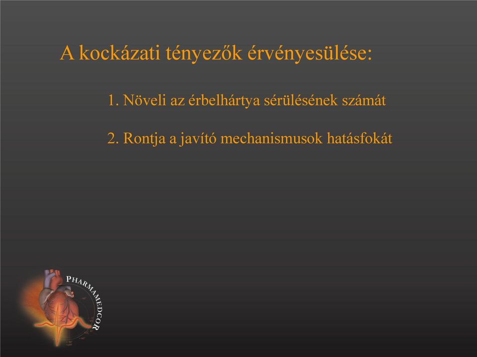 Növeli az érbelhártya