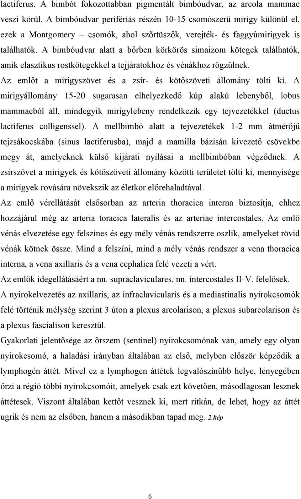 A bimbóudvar alatt a bőrben körkörös simaizom kötegek találhatók, amik elasztikus rostkötegekkel a tejjáratokhoz és vénákhoz rögzülnek.