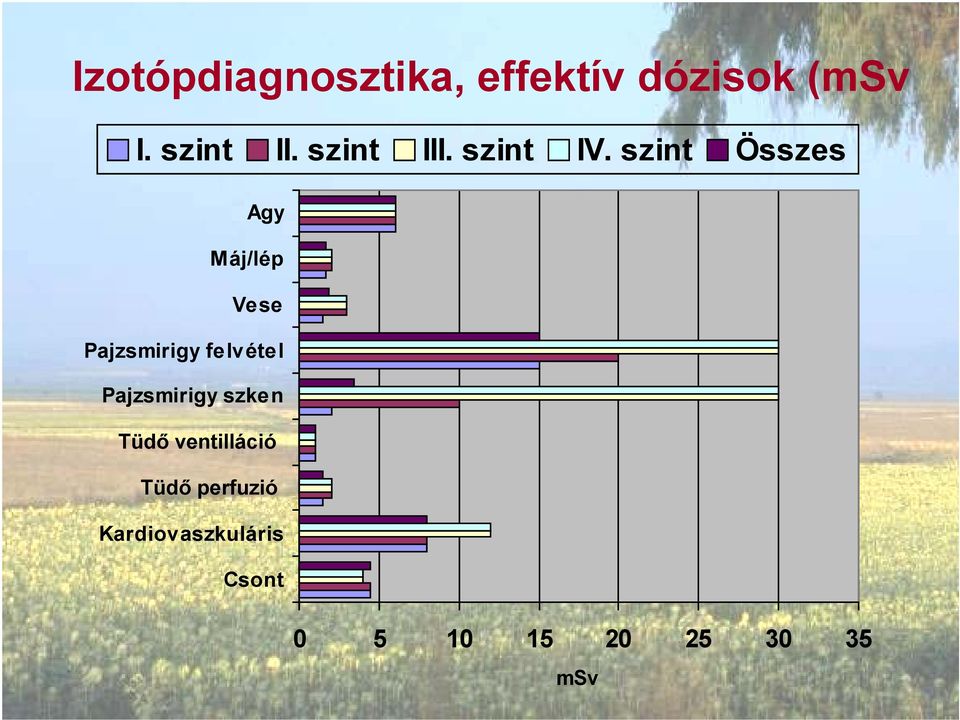 szint Összes Agy Máj/lép Vese Pajzsmirigy felvétel