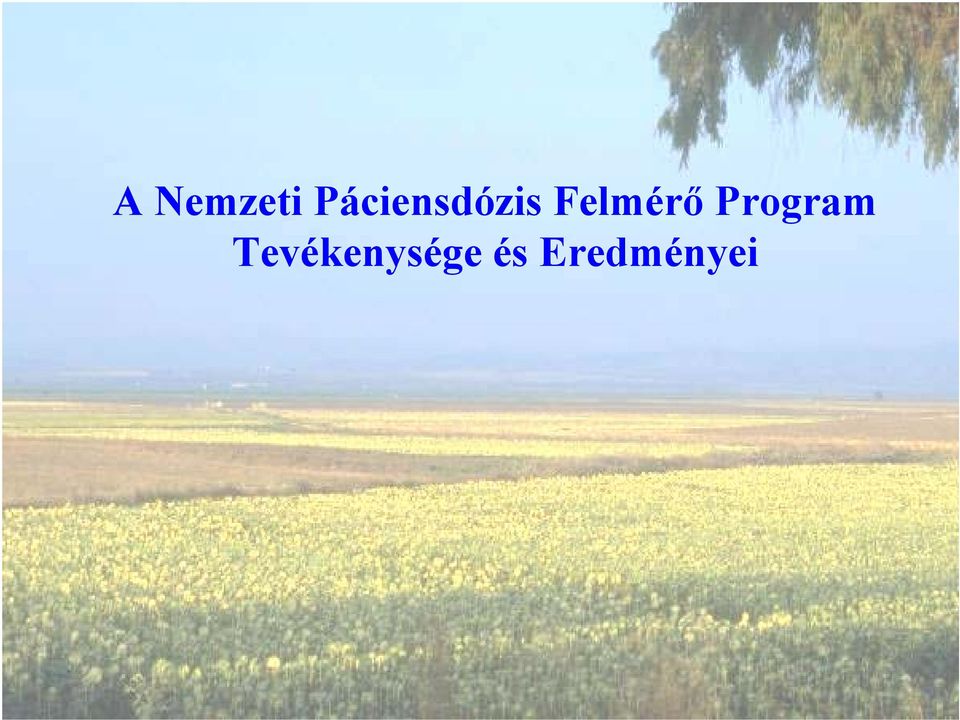 Felmérő Program