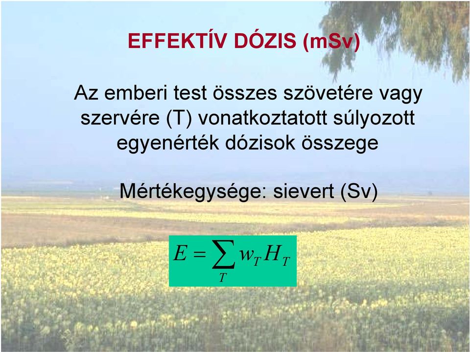 vonatkoztatott súlyozott egyenérték