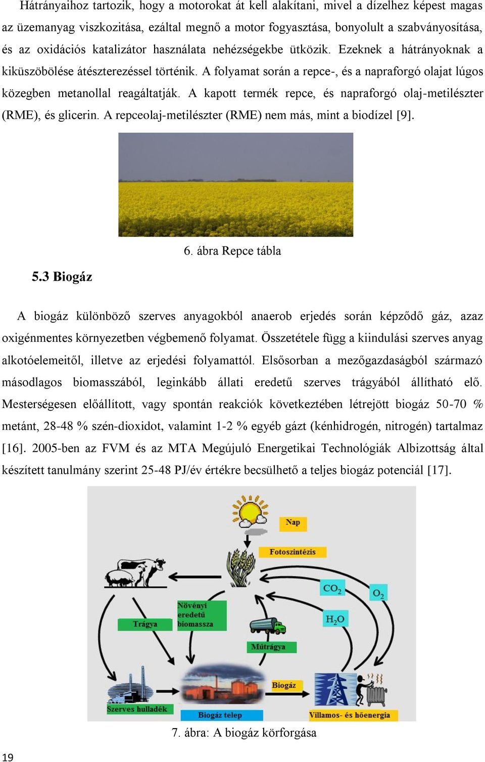 A kapott termék repce, és napraforgó olaj-metilészter (RME), és glicerin. A repceolaj-metilészter (RME) nem más, mint a biodízel [9]. 5.3 Biogáz 6.