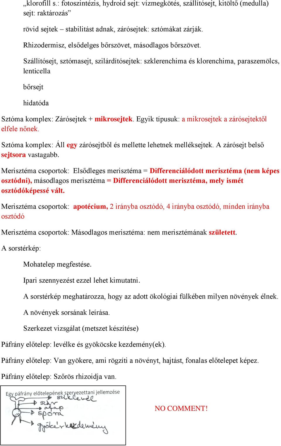 Szállítósejt, sztómasejt, szilárdítósejtek: szklerenchima és klorenchima, paraszemölcs, lenticella bőrsejt hidatóda Sztóma komplex: Zárósejtek + mikrosejtek.