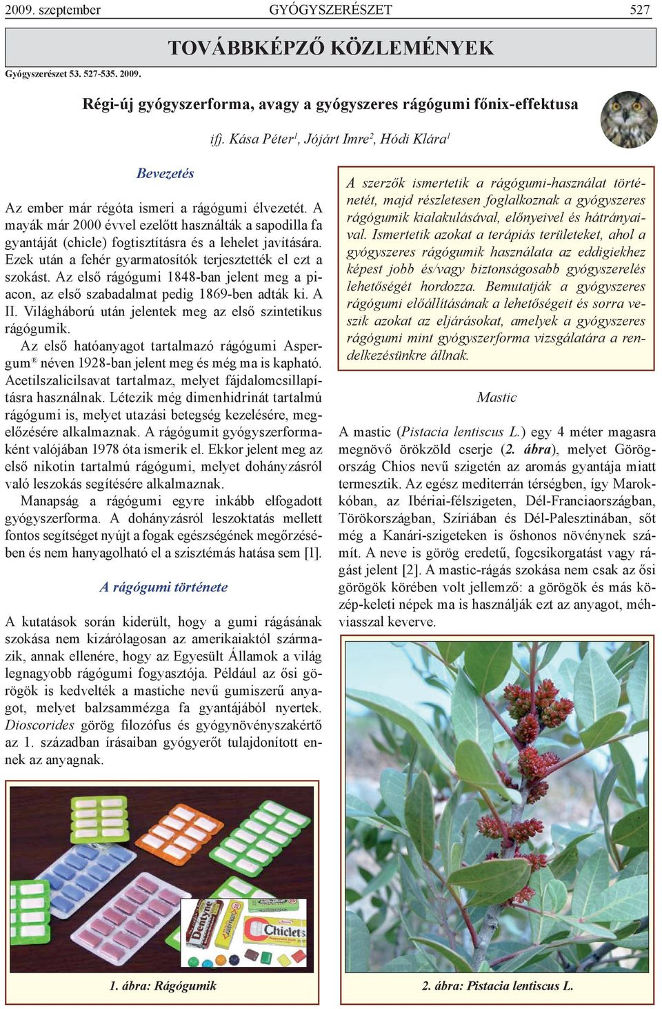 A mayák már 2000 évvel ezelőtt használták a sapodilla fa gyantáját (chicle) fogtisztításra és a lehelet javítására. Ezek után a fehér gyarmatosítók terjesztették el ezt a szokást.