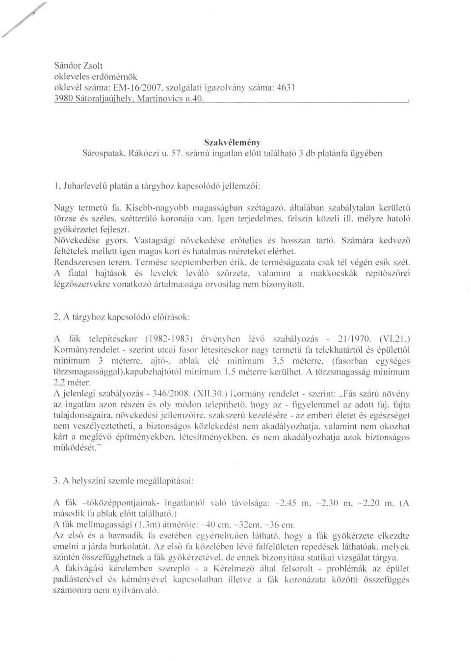 Kisebb-nagyobb magasságban szétágazó, általában szabálytalan kerületű törzse és széles, szétterülő koronája van. Igen terjedelmes, felszín közeli ill. mélyre hatoló gyökérzetet fejleszt.