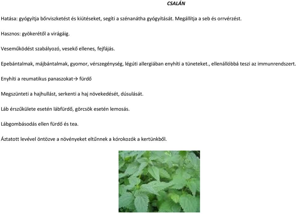 , ellenállóbbá teszi az immunrendszert. Enyhíti a reumatikus panaszokat fürdő Megszünteti a hajhullást, serkenti a haj növekedését, dúsulását.