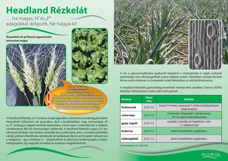 Várhatóan szárazra forduló klíma esetén érdemes a növényeket rézzel felkészíteni az arid körülményekre. Kérem Ne felejtse! A rézhiány jellemzôen! a vegetáció legvégén jelenik meg.