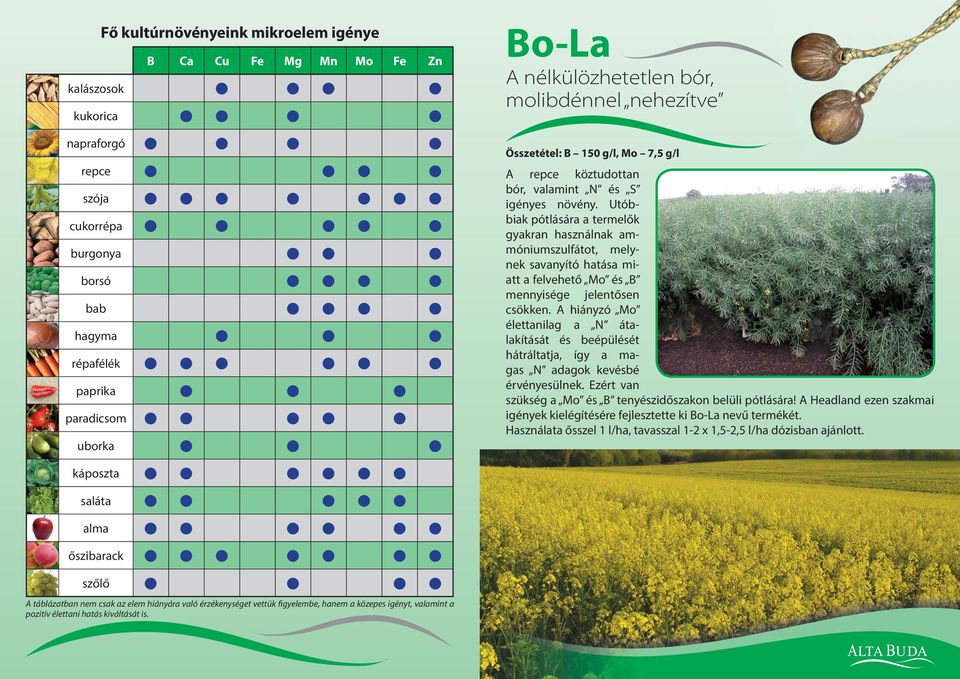 Bo-La A nélkülözhetetlen bór, molibdénnel nehezítve Összetétel: B 150 g/l, Mo 7,5 g/l A repce köztudottan bór, valamint N és S igényes növény.