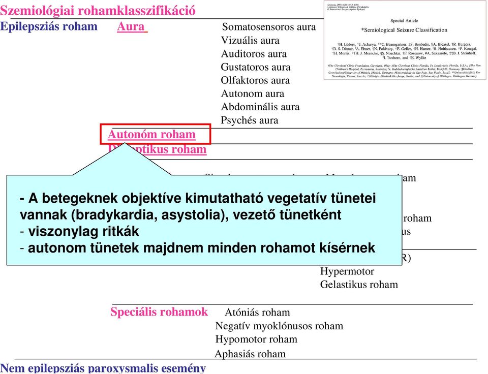 motoros roham Psychomotor (KPR) Hypermotor Gelastikus roham - A betegeknek objektíve kimutatható vegetatív tünetei vannak (bradykardia, asystolia), vezető tünetként - viszonylag